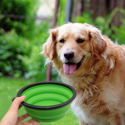 Silicone Folding Bowl